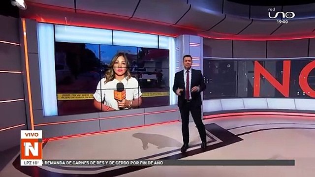 Cámaras captan a los dos delincuentes chilenos robando una casa