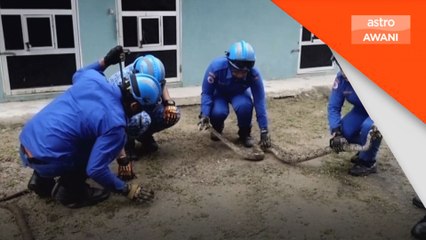 Mangsa banjir diingatkan waspada dengan haiwan berbisa