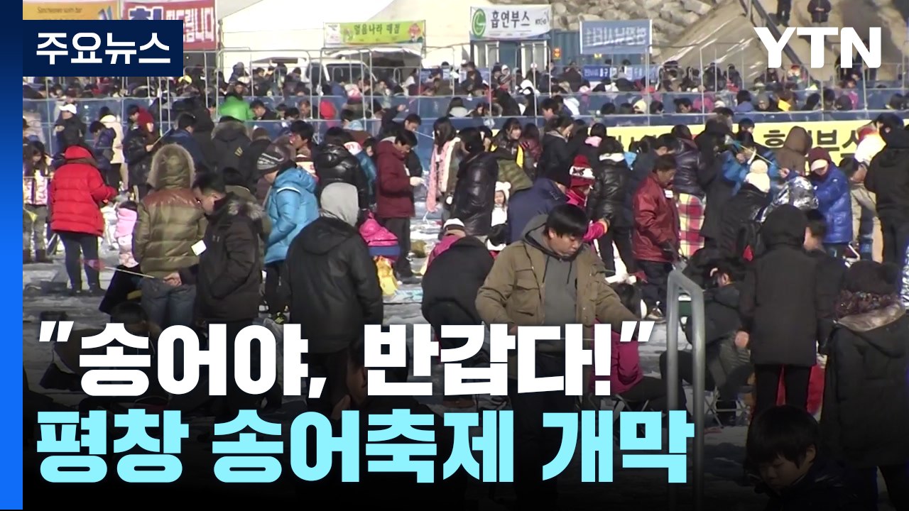 "송어야, 반갑다!"...'겨울 축제 대명사' 평창 송어축제 개막 / YTN