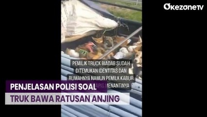 Viral Truk Bawa Ratusan Anjing Diduga untuk Dikonsumsi, Ini Penjelasan Polisi