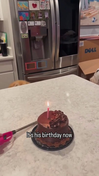Birthdays just mean more when they’re counted in dog years