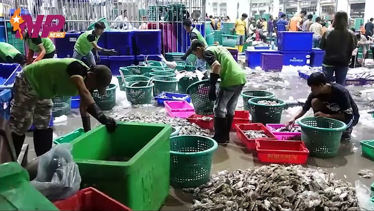 ၂၄ နာရီအတွင်း ပြည်တွင်းနှင့် ပြည်ပက သတင်းထူးများ