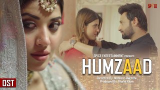 Tera Rahun Ga Mein | Aiman Zaman | OST | Humzaad | Web Series | Spice Entertainment | Coming Soon