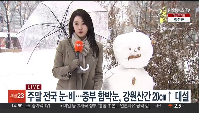 [날씨] 주말 중부 곳곳 함박눈…수도권·강원 대설주의보