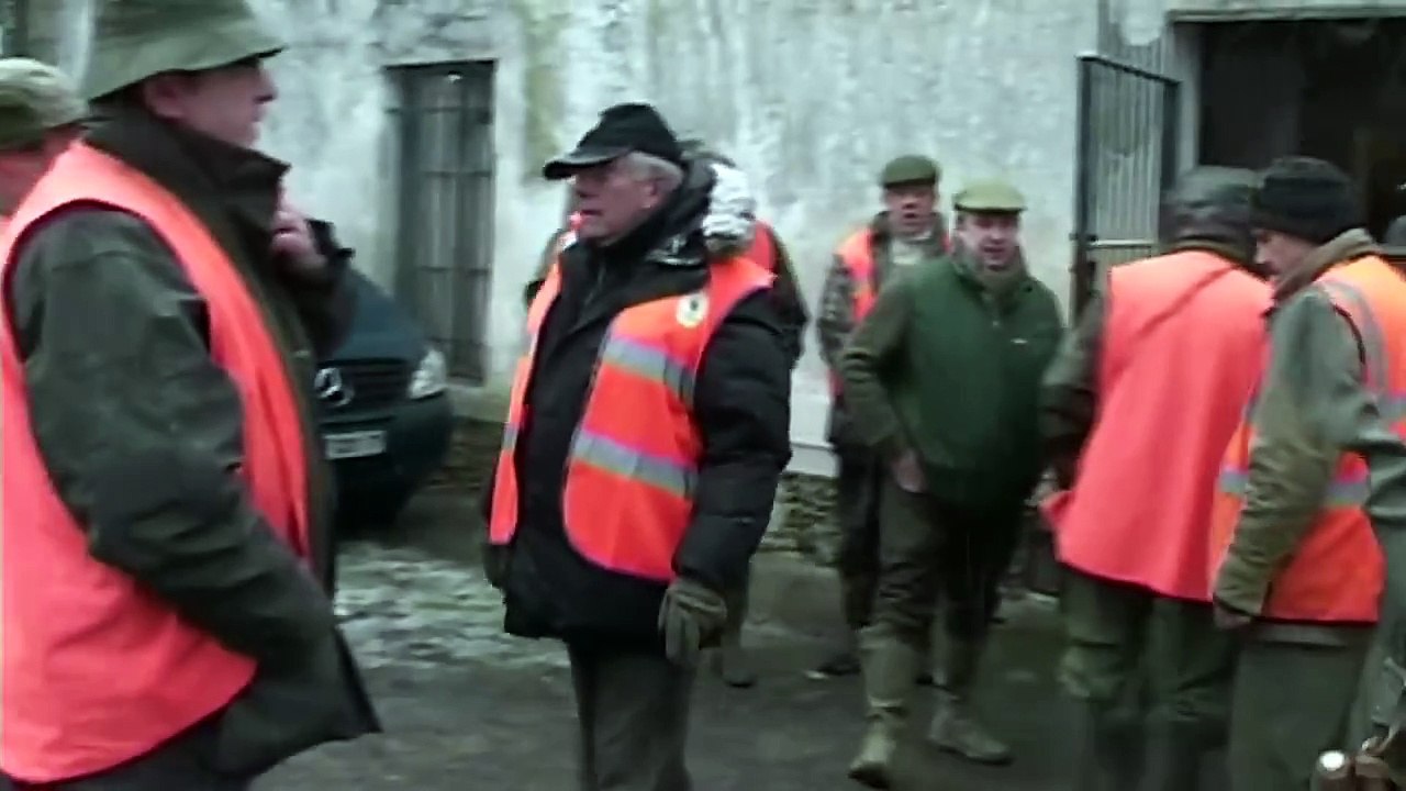 Wild Boar Hunting in France