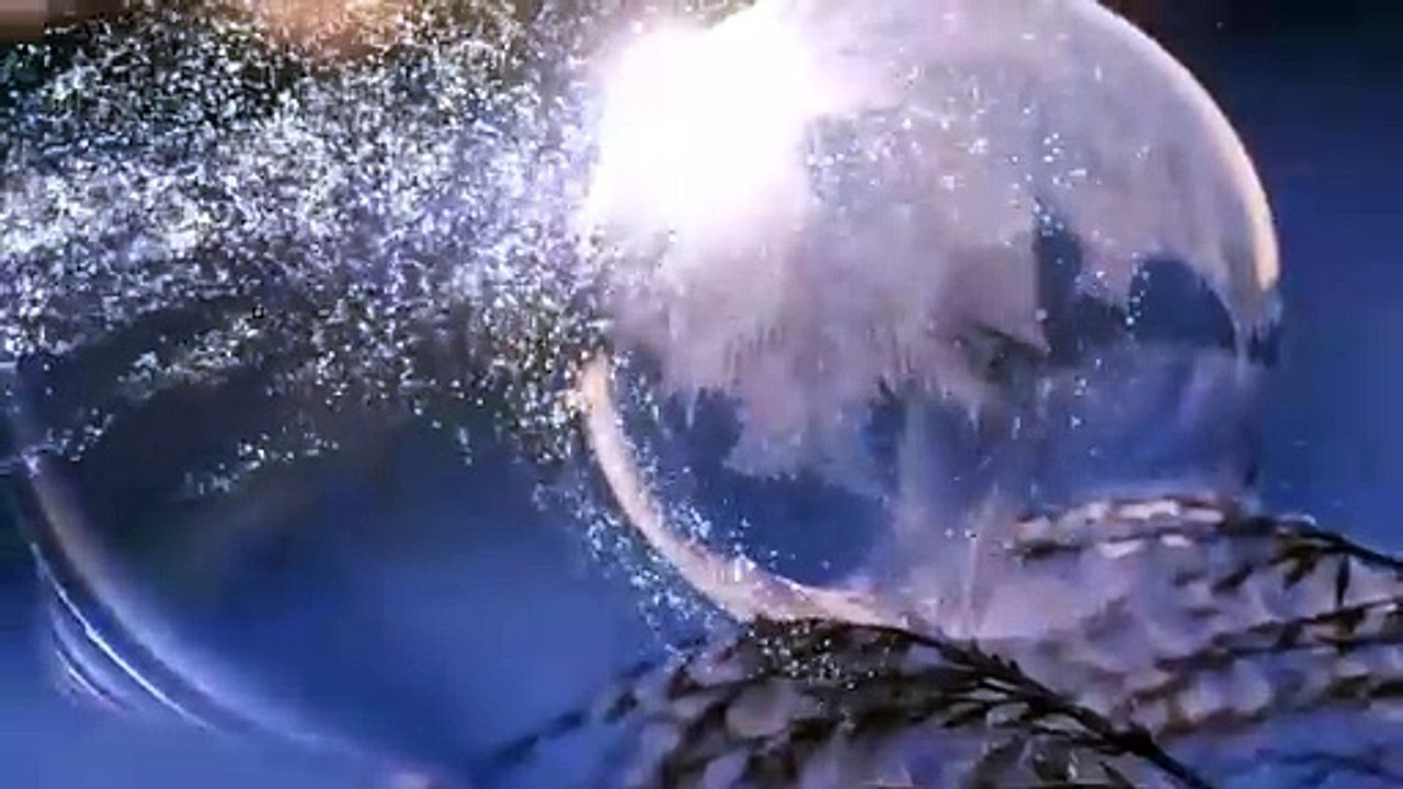 Bonne_année_2024.mp4