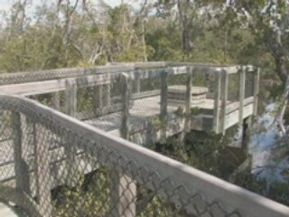 A 5 Minute Tour of Emerson Point Park - Palmetto, Florida