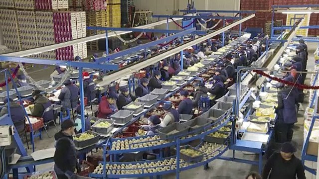 El precio de las uvas se dispara hasta un 227% y es un 44% más caro que hace un año