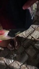 Mulher relata furto dentro da Arena Daniela Mercury, na Boca do Rio