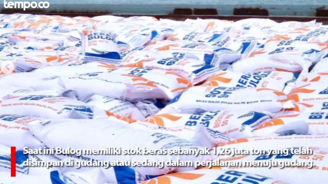 Bulog Amankan 500 Ribu Ton Stok Beras, Optimistis Cukup Sampai Juni 2024