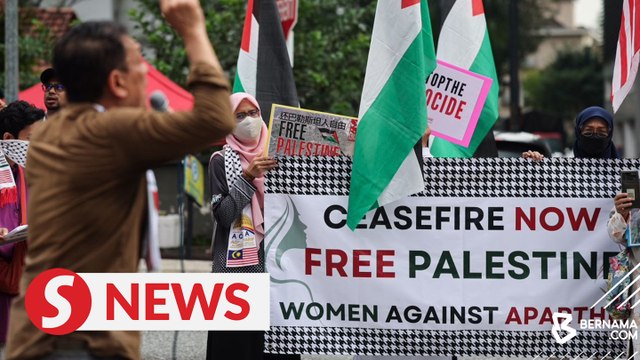 Rain fails to dampen spirits of Palestinian solidarity picket participants