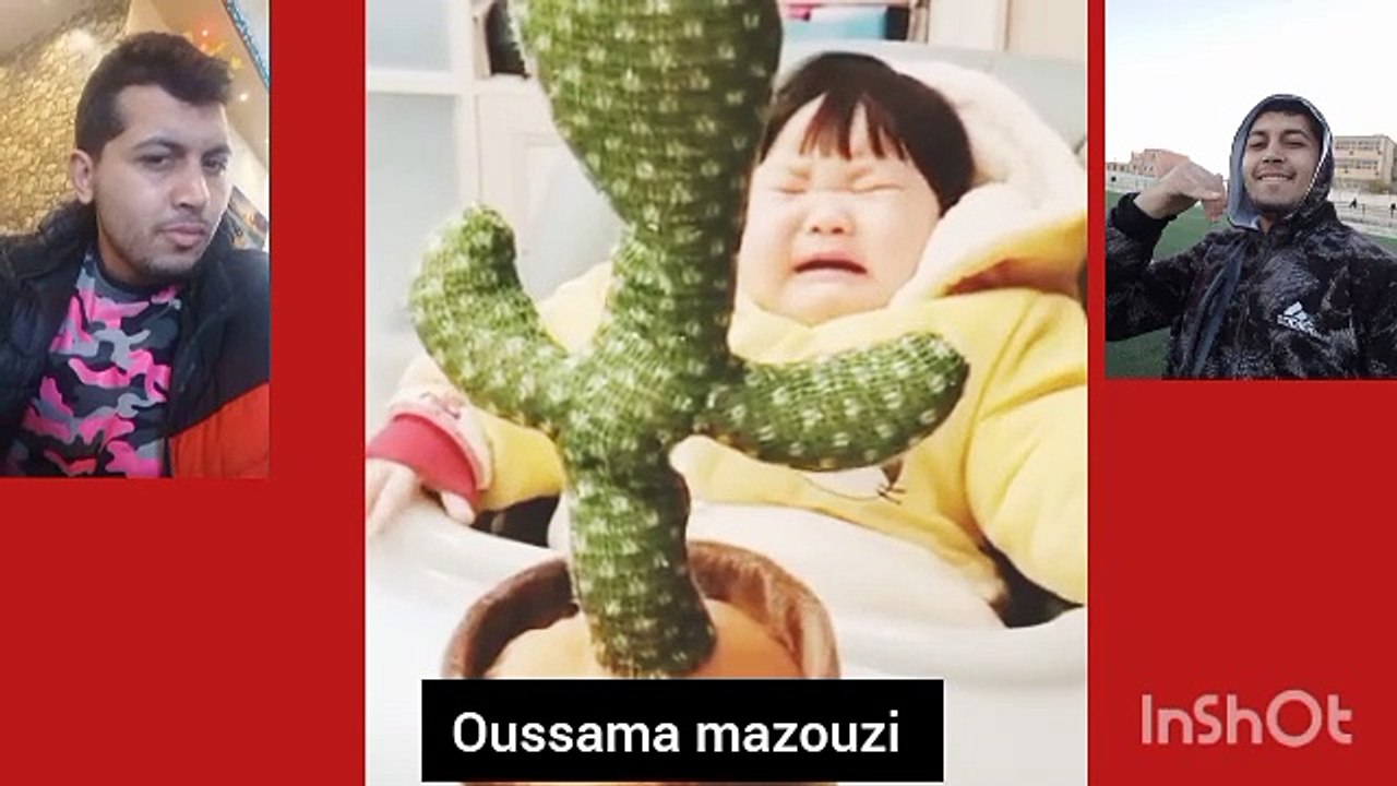 Babies play dancing cactus toy. Cutest baby funniest moments.