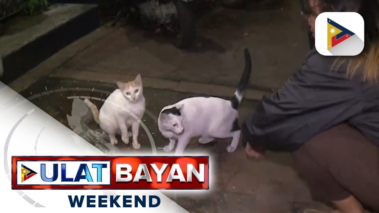 Mga alagang hayop, kailangan bantayan para 'di ma-stress sa ingay ng paputok