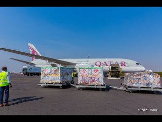 Zahageze! Inkingo za Sinopharm zikorerwa mu Bushinwa zagejejwe mu Rwanda zakiranwa  na yombi