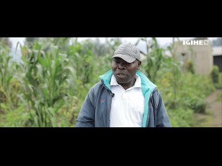 Abahinzi b'ibirayi i Rubavu bashobora kubihagarika, hari icyo basabye Leta mu maguru mashya