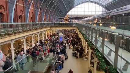 London’s Eurostar terminal ‘in chaos’ as flooded tunnel hits train services