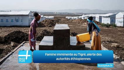 Famine imminente au Tigré, alerte des autorités éthiopiennes