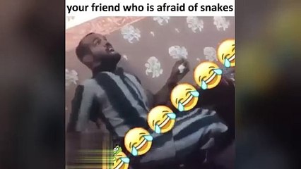 your friend who is afraid of snakes 