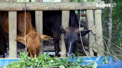 Yakoze ubushabitsi akiri umwana: Byinshi ku buzima bwa Minisitiri Rwigamba
