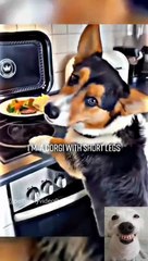 Download Video: Try not to laugh P9 ,#funny #fun #laugh #animals #funnyanimals #pet #petsoftiktok #dog #dogsoftiktok #catsoftiktok #cat