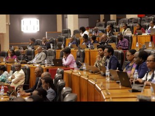 Abadepite bajoye raporo ya Human Rights Watch ku Rwanda: Umva ibyo bayivuzeho