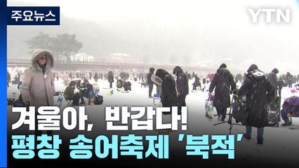 "겨울아, 반갑다!"...짜릿한 손맛, 평창 송어축제 '북적' / YTN