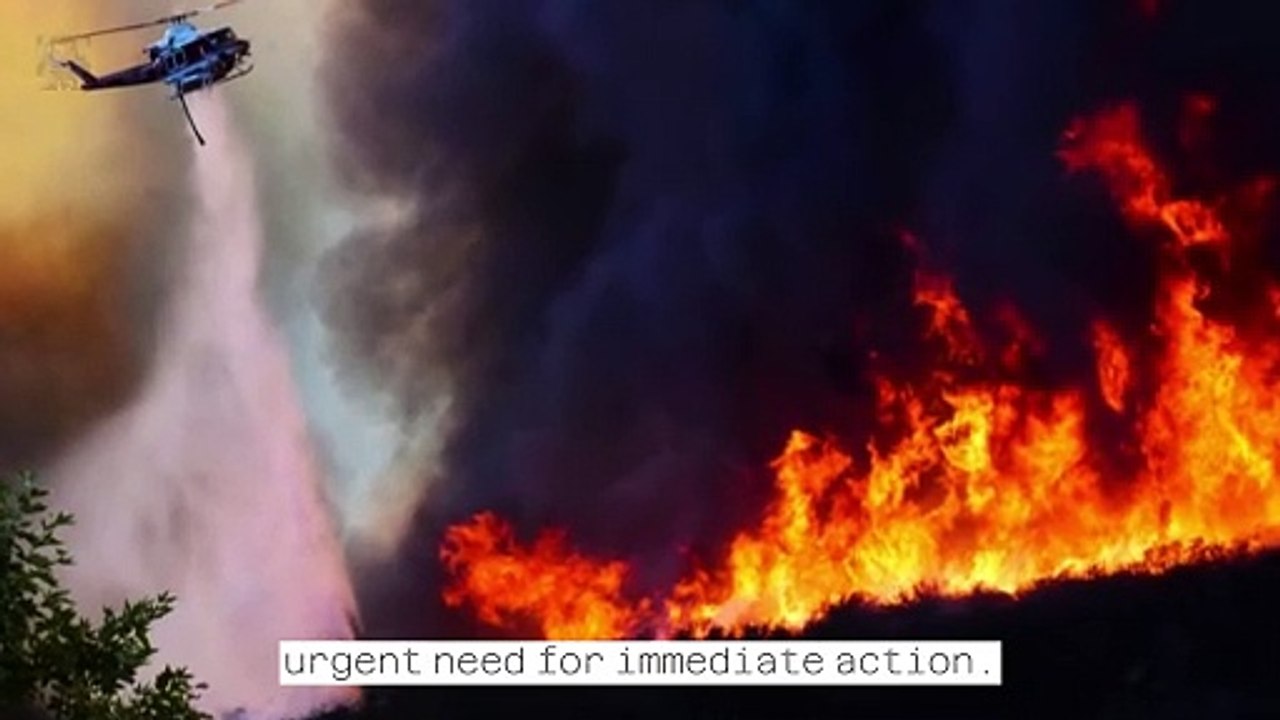 2023 the Year Humanity Confronted Its Failure in the Climate Crisis || Short News