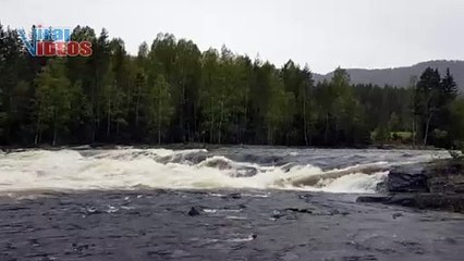 Beautiful river flowing video | Nature is Amazing