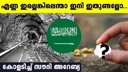 മലയാളികള്‍ക്കും സന്തോഷം, ഇനി ഇതിനും സൗദിയെ ആശ്രയിക്കണം