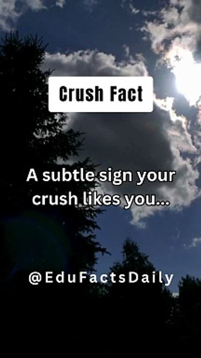 Crush Fact...#facts #subscribe #viral #amazingfacts #shorts #crush #viralshort #shortvideo #short