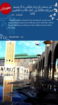 #010 Should you be tempted», he continued, «to lay your violent hands upon me to kill me, never will I lay violent hands upon you to kill you; I fear Allah, Creator of the worlds».