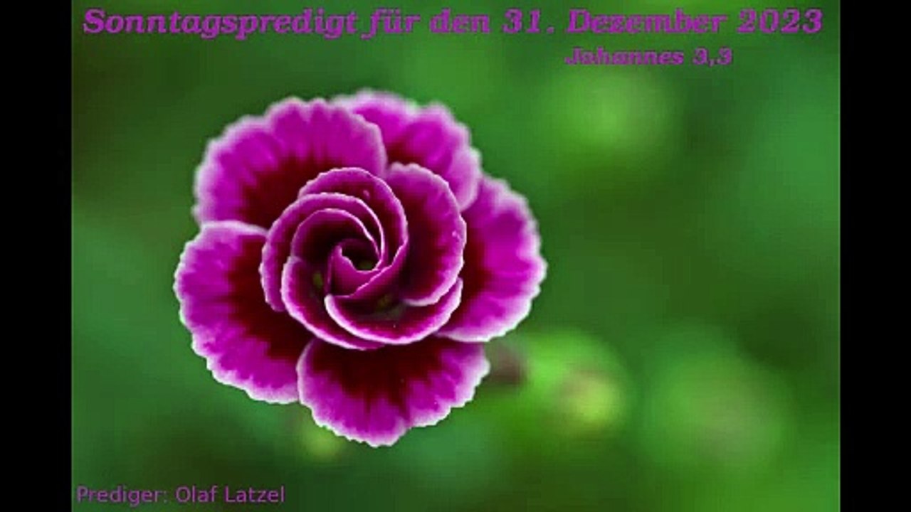Sonntagspredigt für den 31. Dezember 2023