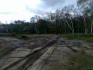 moi en motocross 250cc