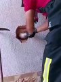 Corpo de Bombeiros resgata gato que ficou preso entre duas paredes; veja vídeo