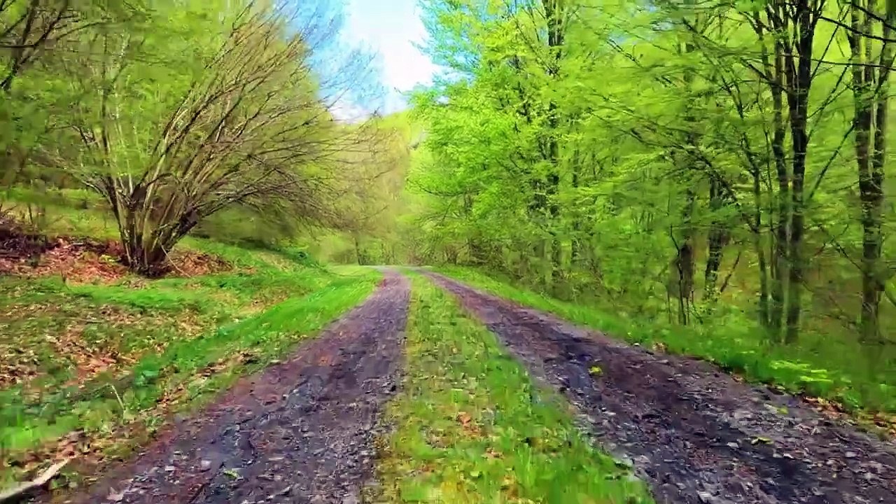 Otilia -  i dont Know (Oliver Dam remix), Jaden Gideon - Vibration