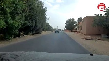 وجوه من الـظل  أماراليس فوكس.. ✅ في أحضان ال سي آي إي  حكايات جواسيس