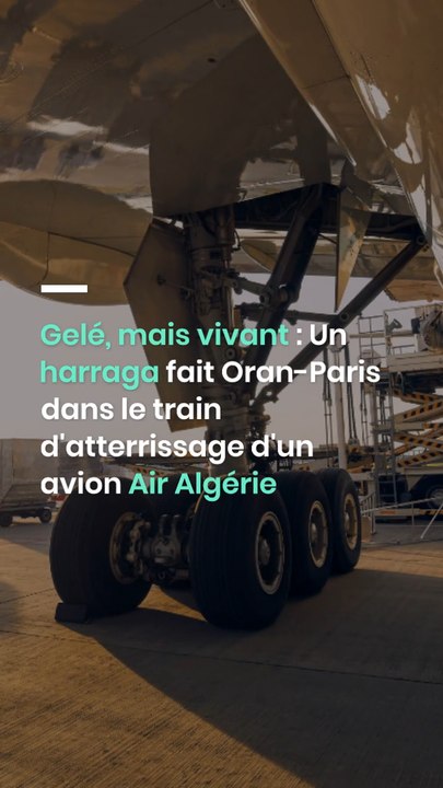 Gelé, mais vivant : Un harraga fait Oran-Paris dans le train d'atterrissage d'un avion Air Algérie