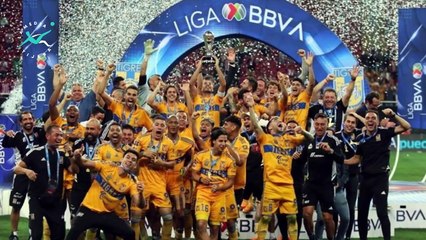 EQUIPOS MÁS POPULARES DE MÉXICO