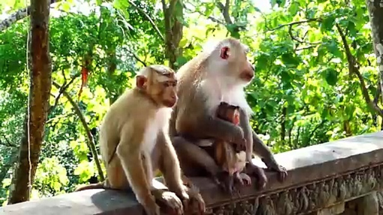 Nice Performing Of Tiny Baby Rockstar His Mother Rozy (720p_25fps_H264-192kbit_AAC)