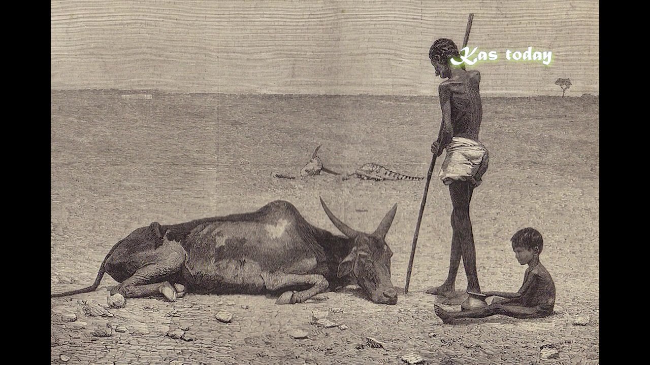 What-do-you-know-about-the-history-of-India-Part-2
