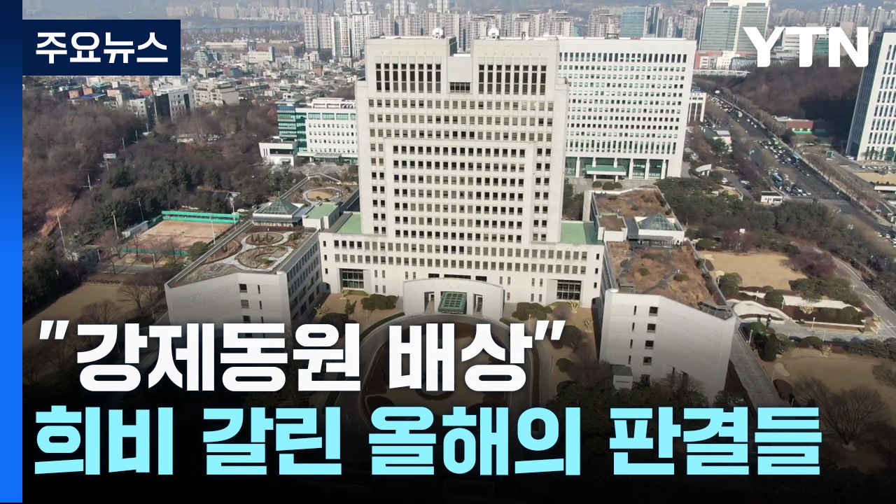 "강제동원 日 배상"·"가습기 살균제 책임"...대법 판결 '희비' / YTN