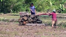 Rural Rhythms Unveiling the Role of Tractors in Java's Agricultural Heritage