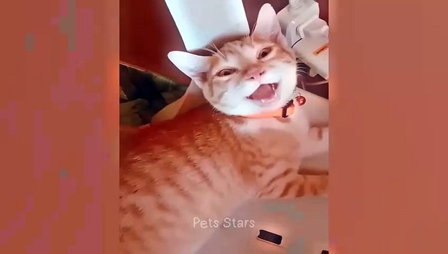 #haha#comedys#babs#comedyshorts#cuteanimals#ytshortsindia#cutebaby#comdy#comedys#babs#comedyshorts#cuteanimalsyt#ytshortsindia 有趣哈#cutebaby#comdycomedys#ba##cuteanimals# sindia#ytshortsindiaمضك ههههه#sex#جنس #comedys#babs#comedyshorts#cuteanimalsجنس sex