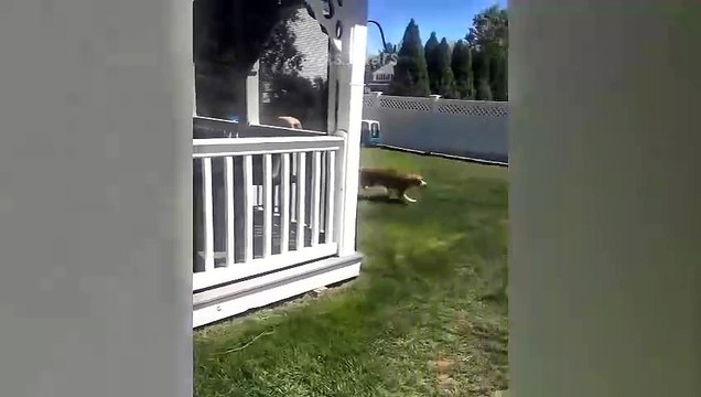 I cannot exchange pepe currency even though it exists and its quantity appears in the symbols. Does this mean that the currency contract has changed or something else has happened that I do not know exactly?75