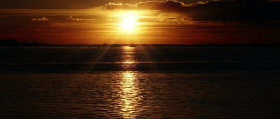 Уличный боец | movie | 1974 | Official Trailer