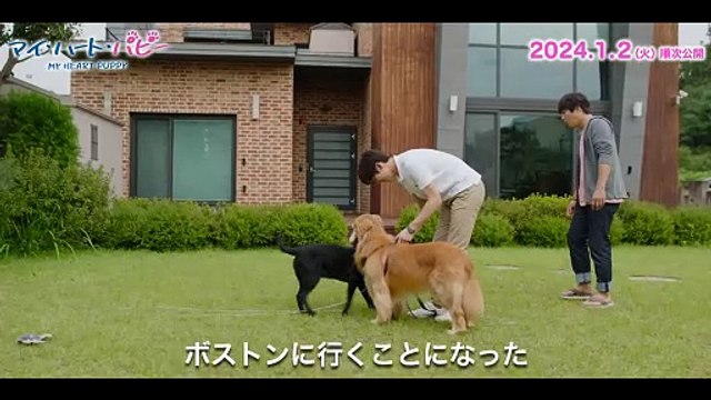 『マイ・ハート・パピー』著名人絶賛コメント