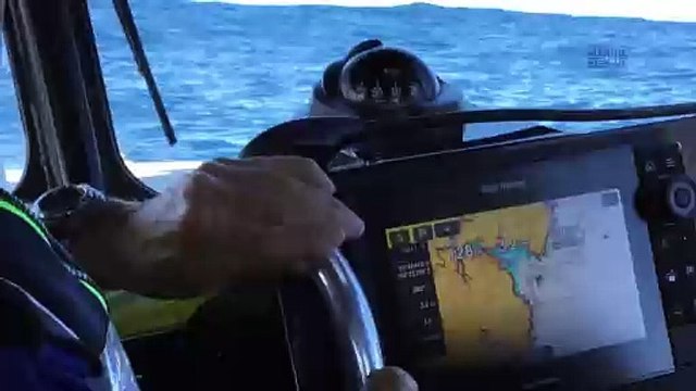 Entangled humpback whale off Batemans Bay | December 31, 2023 | Illawarra Mercury