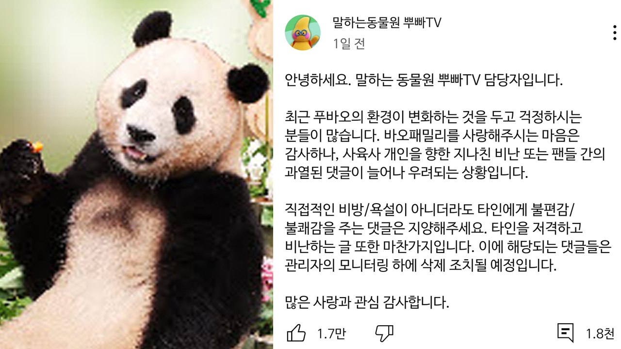 푸바오 사육사 향한 도 넘은 악플에 에버랜드 "삭제 조치" / YTN