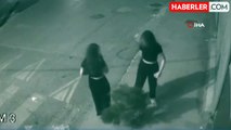 İzmir'de genç kızlar kaldırımdaki ağacı tekmeledi