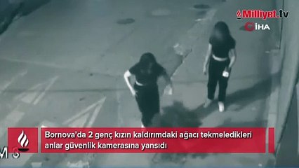 İzmir’de 2 genç kızın kaldırımdaki ağacı tekmeledikleri anlar kamerada